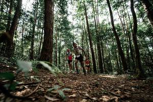 BIB: 
                            <button type="button" onclick="openModal(25261154)" class="btn btn-primary btn-sm float-right btn-popup" data-toggle="modal" data-target=".modal-high-quality">
                        <i class="fas fa-shopping-cart"></i> Add to Cart
                    </button>
                                            <button type="button" onclick="isThisMe(25261154, true)" class="btn btn-success btn-sm float-right btn-popup btn-isme hidden" data-toggle="tooltip" data-placement="bottom" title="นี่คือรูปของคุณใช่ไหม คลิกที่นี่เพื่อเอาเข้าอัลบั้ม">
                        <i class="fas fa-plus"></i> Add to album
                    </button>
                    <button type="button" onclick="isThisMe(25261154, false)" class="btn btn-warning btn-sm float-right btn-popup btn-isnotme hidden">
                        <i class="fas fa-ban"></i> Remove from album
                    </button>